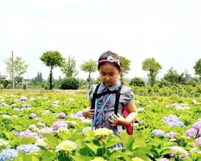 1495762439270707iL3T.jpg 1495762439270707iL3T.jpg